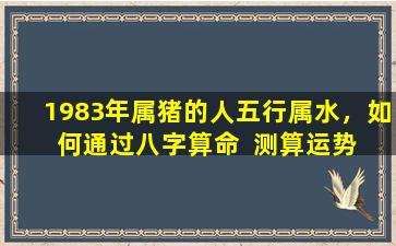 1983年属猪的人五行属水，如  何通过八字算命  测算运势、吉凶